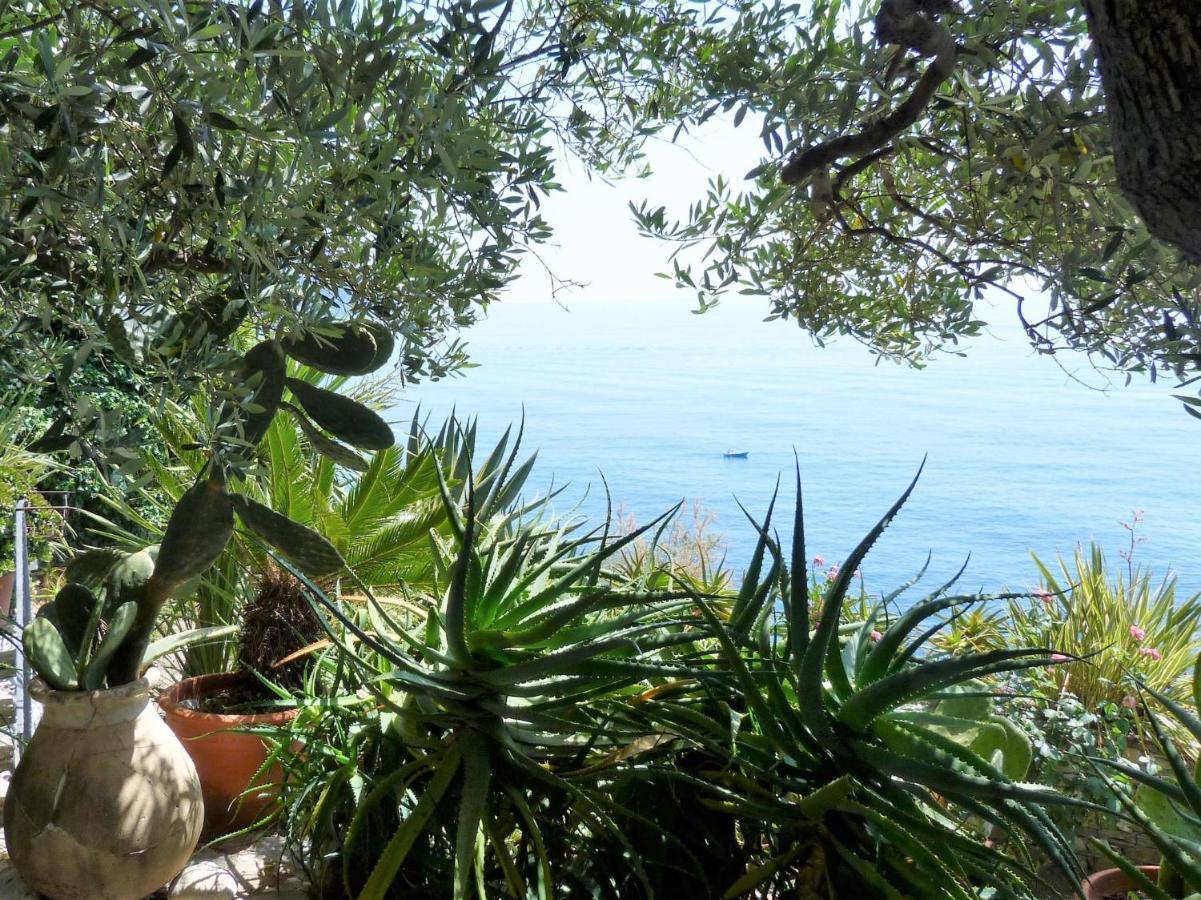 Le Case Di Recco By Holiday World Exterior foto
